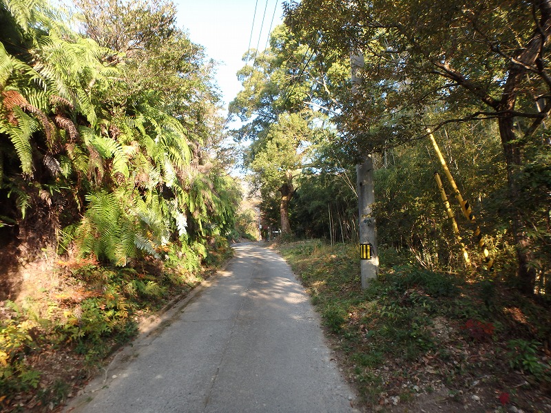 ooyama23.jpg
