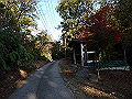ooyama24_thumb.png