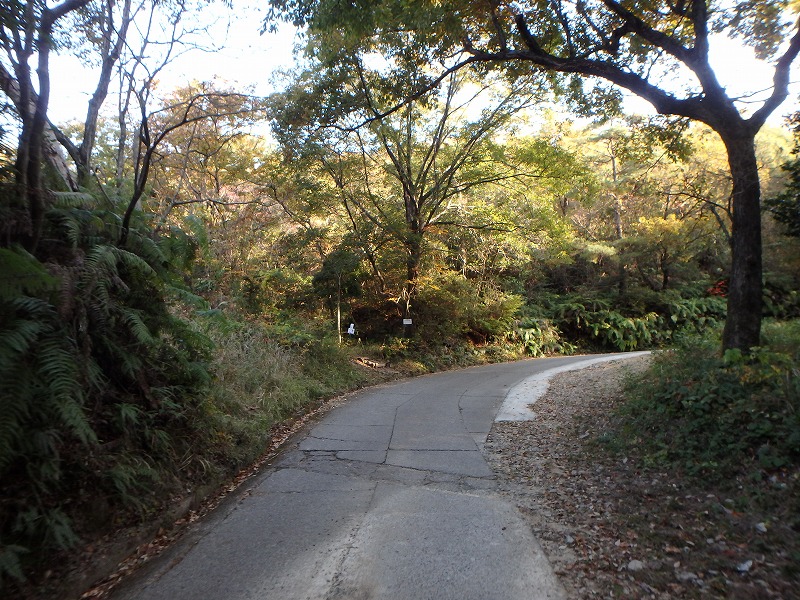 ooyama25.jpg