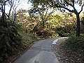ooyama25_thumb.png