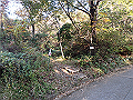ooyama26_thumb.png