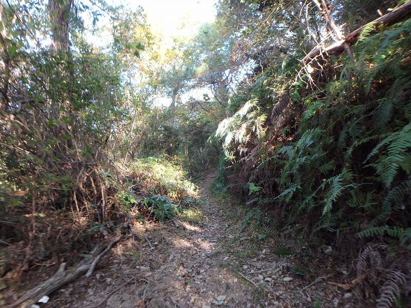 ooyama27.jpg
