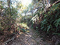 ooyama27_thumb.png