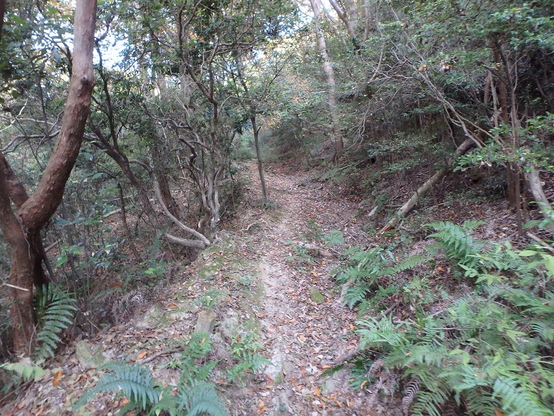 ooyama32.jpg