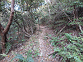 ooyama32_thumb.png