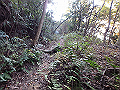 ooyama33_thumb.png
