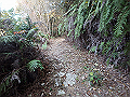 ooyama35_thumb.png