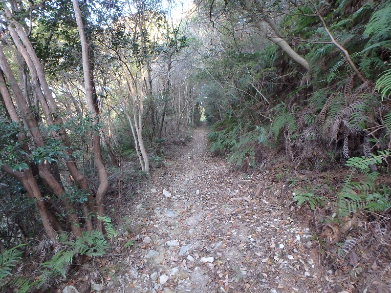 ooyama36.jpg