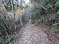 ooyama36_thumb.png