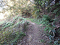 ooyama38_thumb.png