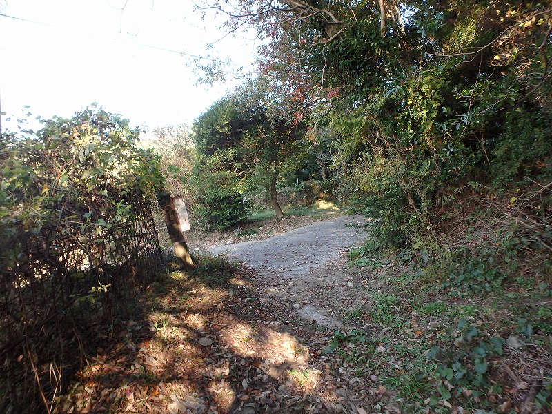 ooyama39.jpg