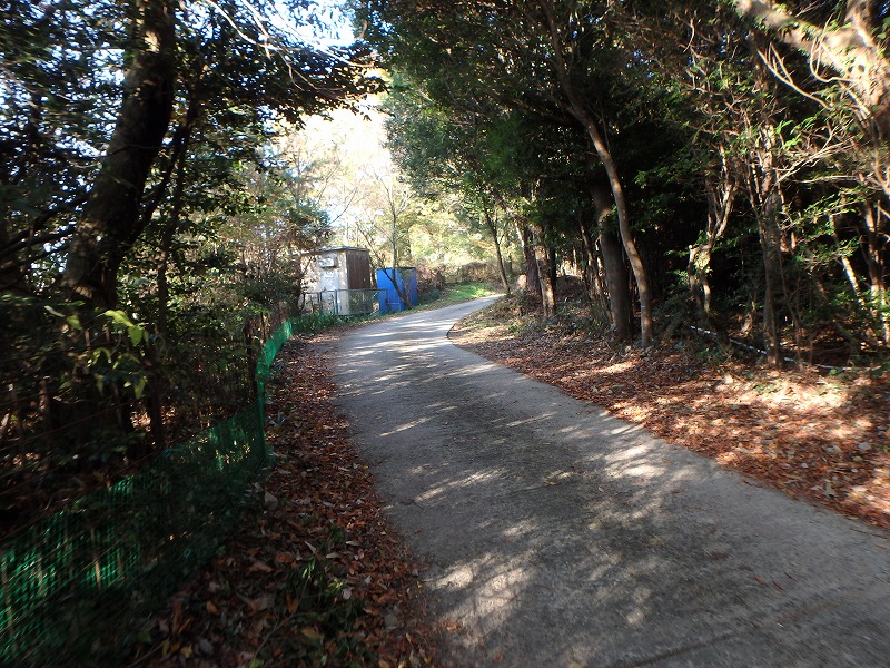 ooyama41.jpg