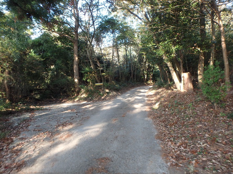 ooyama42.jpg