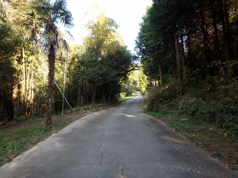 ooyama43.jpg