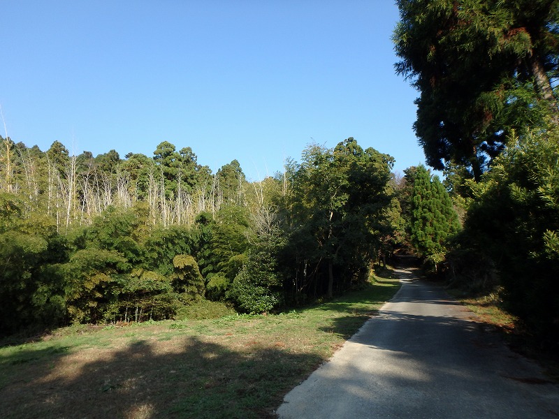 ooyama44.jpg
