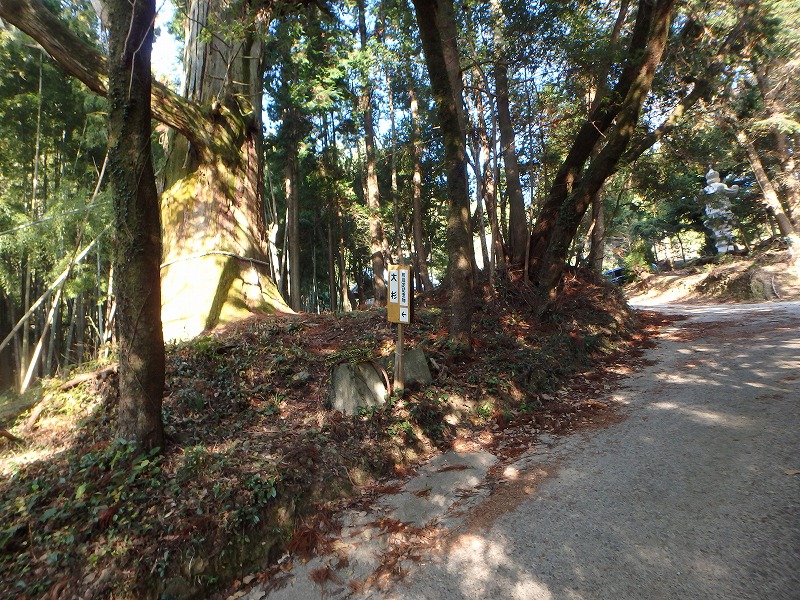 ooyama45.jpg