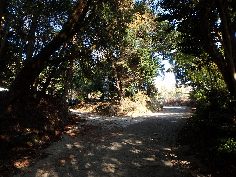 ooyama46.jpg