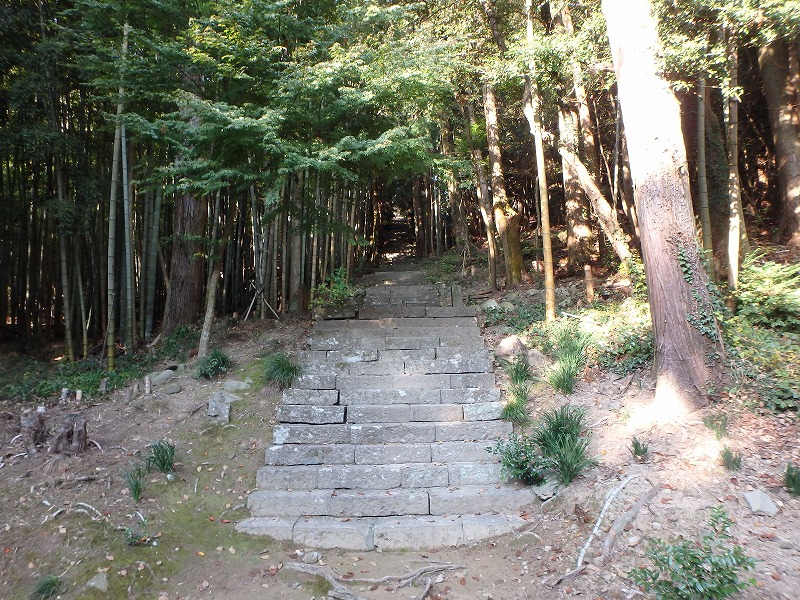 ooyama50.jpg
