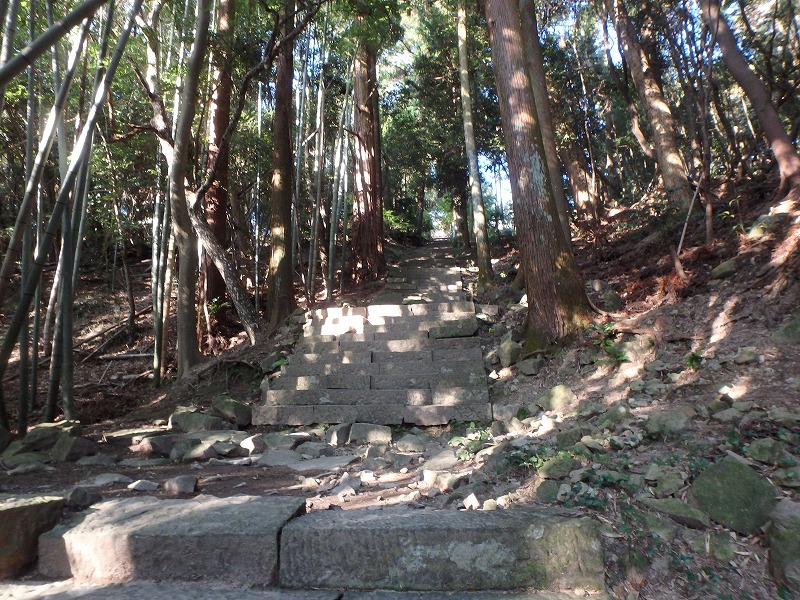 ooyama51.jpg