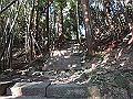 ooyama51_thumb.png