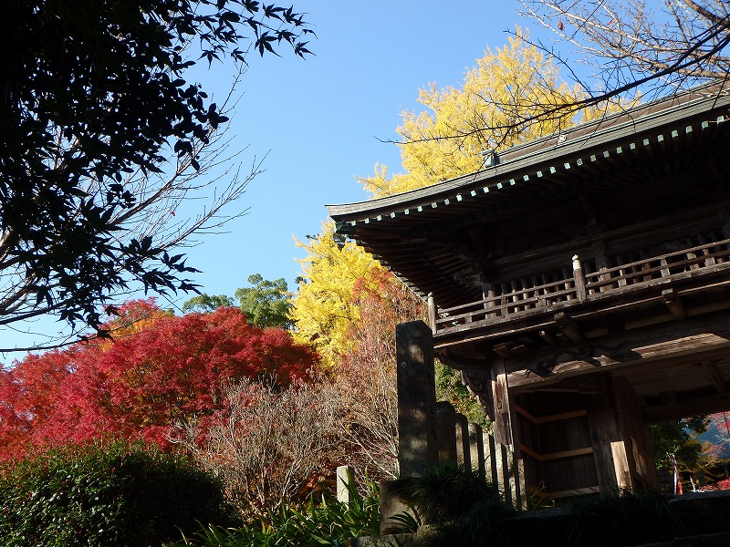 ooyama53.jpg