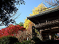 ooyama53_thumb.png