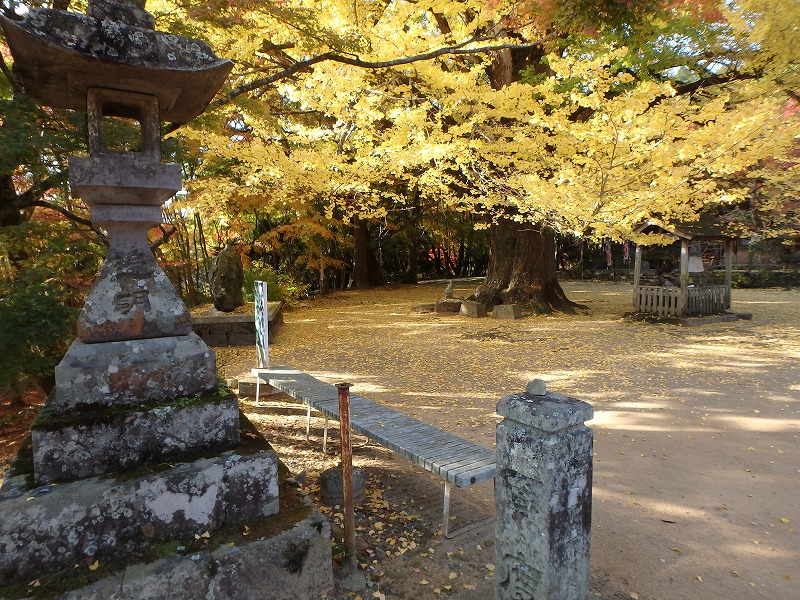 ooyama56.jpg