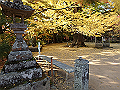 ooyama56_thumb.png