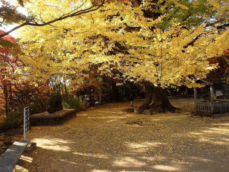 ooyama57.jpg