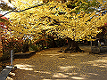 ooyama57_thumb.png
