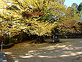 ooyama58_thumb.png