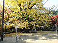 ooyama59_thumb.png