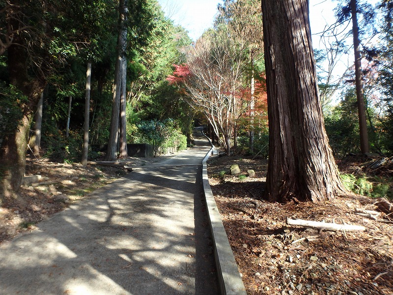 ooyama61.jpg