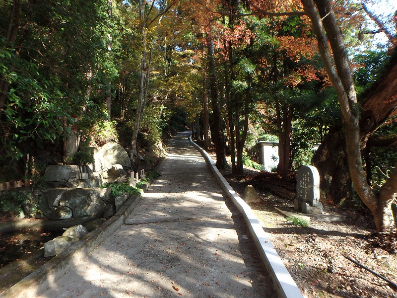 ooyama62.jpg
