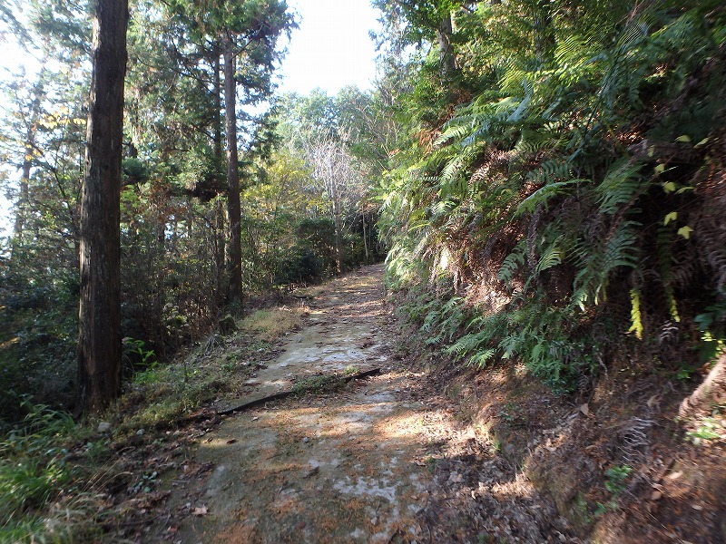 ooyama65.jpg