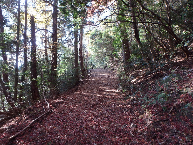 ooyama68.jpg
