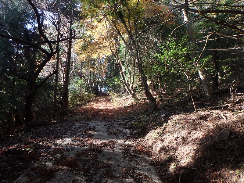 ooyama70.jpg