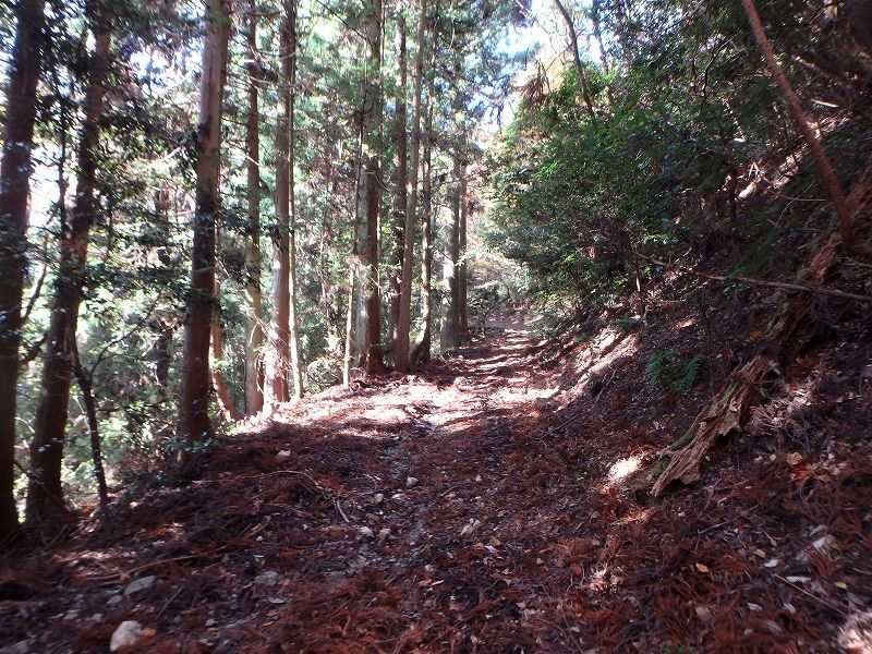 ooyama72.jpg