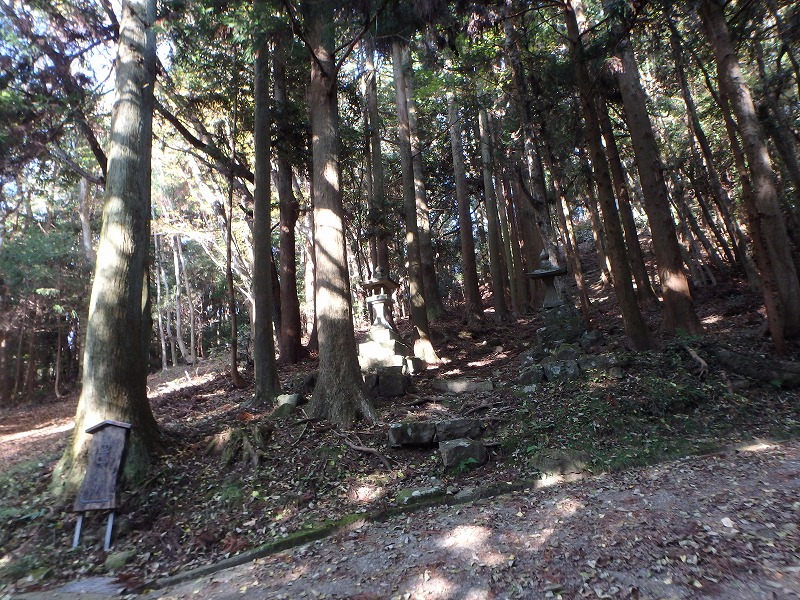 ooyama75.jpg