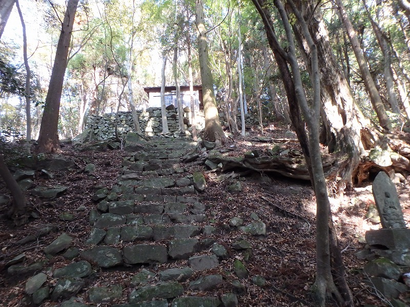 ooyama76.jpg
