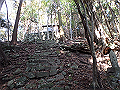 ooyama76_thumb.png