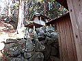 ooyama78_thumb.png