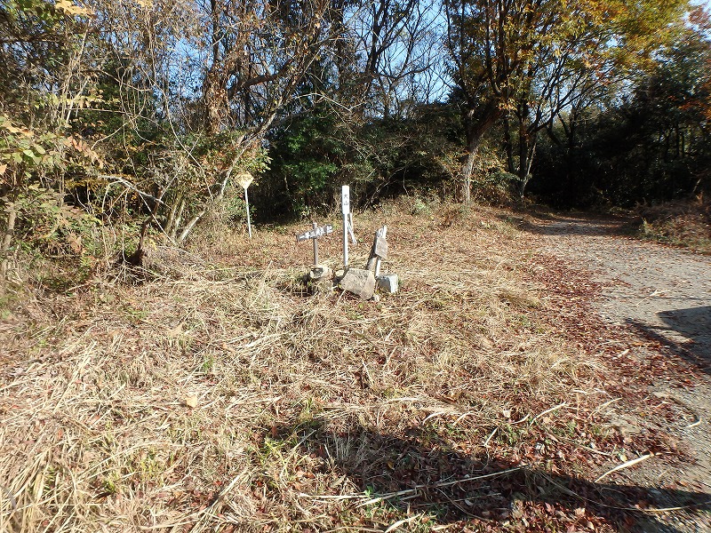 ooyama79.jpg