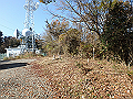 ooyama80_thumb.png