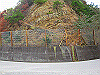 sengoku40_thumb.png