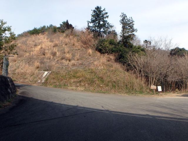 takao_01.jpg