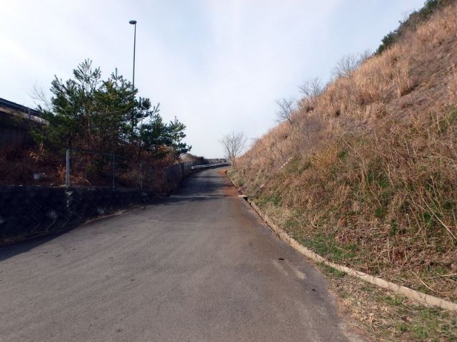 takao_02.jpg