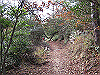 unpenji010_thumb.png
