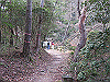 unpenji011_thumb.png