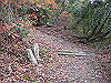 unpenji015_thumb.png